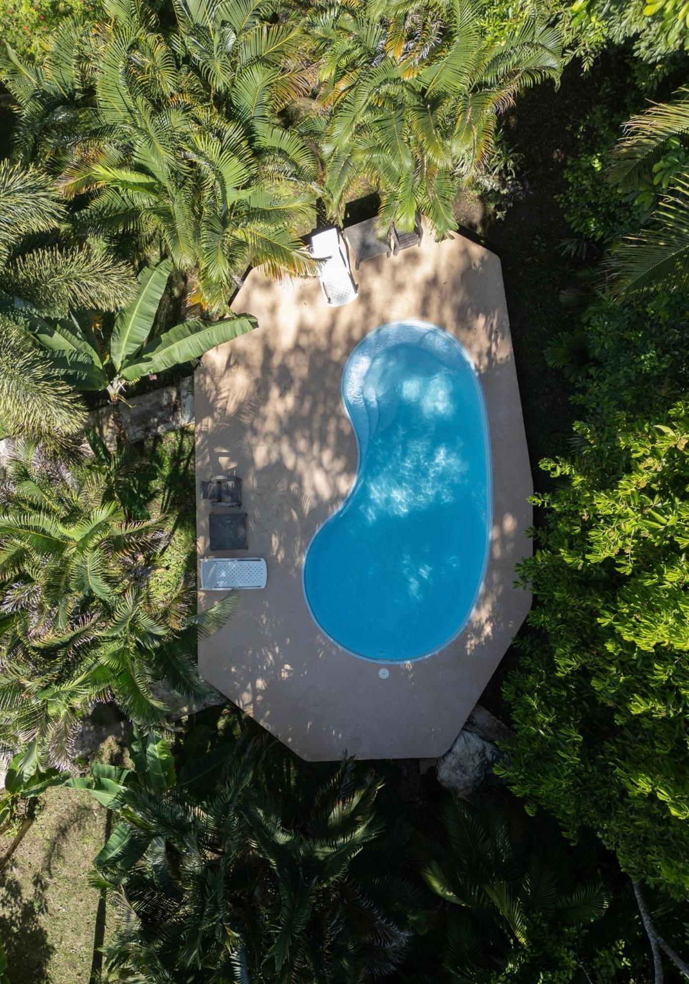 Bed and Breakfast Sol y Sombra Bocas del Toro Exterior foto