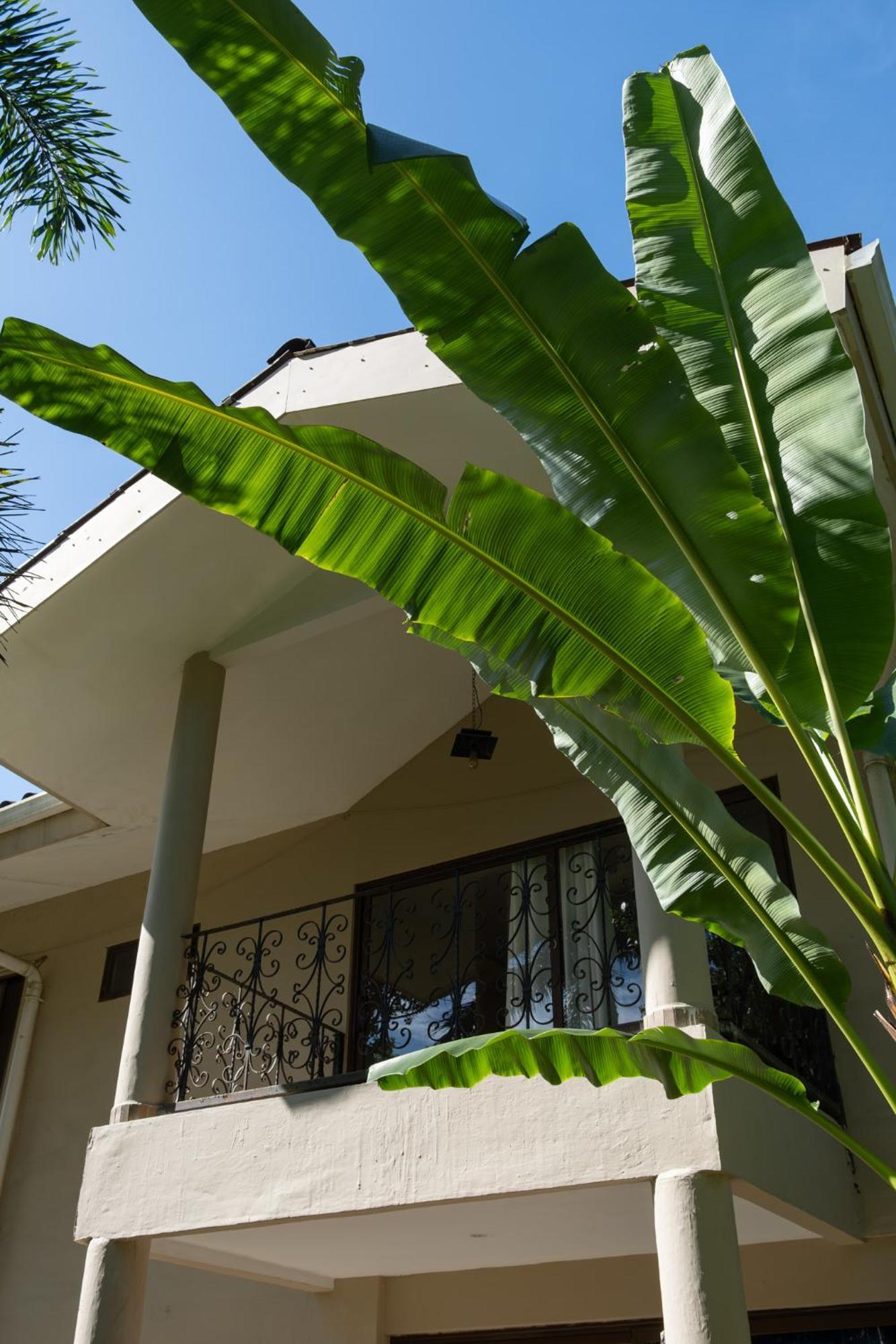 Bed and Breakfast Sol y Sombra Bocas del Toro Exterior foto